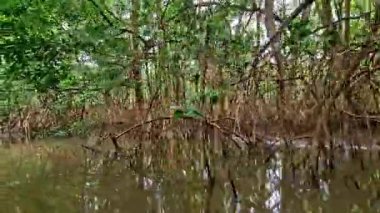 Barreirinhas, Brezilya 'dan Preguica Nehri' ne tekne gezisi. Preguicas Nehri, Maranhao 'da, Lencois Maranhenses kompleksinde bulunan bir su yolu..