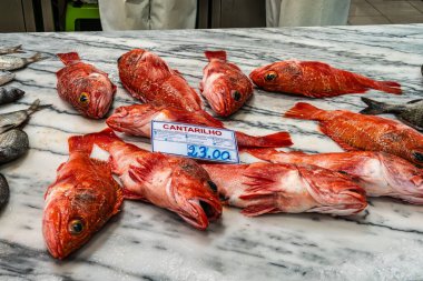 Setubal, Portekiz - 29 Şubat 2025: Mercado do Livramento, Setubal, Portekiz. Taze balık ve gıda pazarı