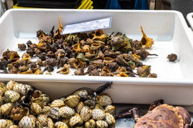 Setubal, Portekiz - Mar 02, 2025: Mercado do Livramento, Setubal, Portekiz. Taze balık ve gıda pazarı