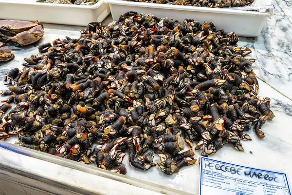 Setubal, Portekiz - Mar 02, 2025: Mercado do Livramento, Setubal, Portekiz. Taze balık ve gıda pazarı