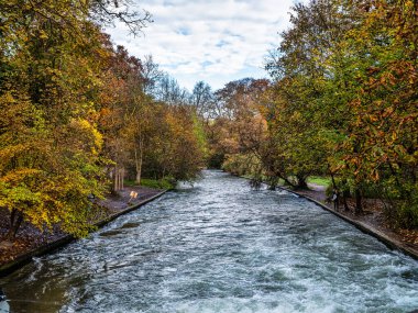 Münih, Almanya - 29 Ekim 2024: Ünlü Münih dinlenme yerinde altın sonbahar manzarası - Englischer Garten. Düşmüş yaprakları ve altın güneş ışığı olan İngiliz bahçesi. Münih, Bavyera, Almanya