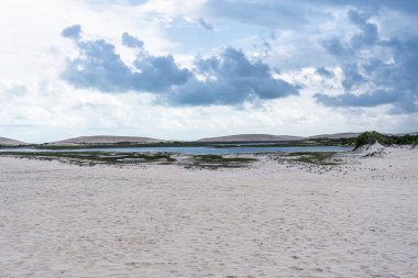 Brezilya 'daki Jericoacoara' daki Amancio gölüne at arabası turu. Ceara 'nın Kumulları