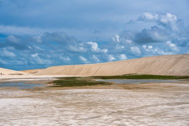Brezilya 'daki Jericoacoara' daki Amancio gölüne at arabası turu. Ceara 'nın Kumulları