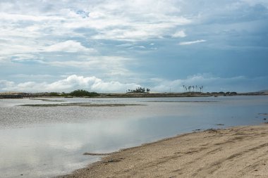 Brezilya, Jericoacoara 'daki Avenida Beira Mar plaj yolunda at arabası turu. Ceara 'nın Kumulları