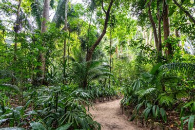 Brezilya Belem 'deki Paraense Müzesi Emilio Goeldi. Brezilya Amazon 'dan Fauna ve Flora ile şehrin kalbinde bir araştırma enstitüsü ve müze