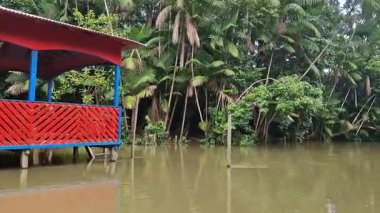 Brezilya 'nın kuzeyinde yer alan Belem do Para' daki Guama Nehri 'nde tekne turu. Amazon ormanlarının oradaki doğal yeşil alan..