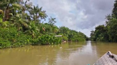 Brezilya 'nın kuzeyinde yer alan Belem do Para' daki Guama Nehri 'nde tekne turu. Amazon ormanlarının oradaki doğal yeşil alan..
