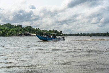 Brezilya 'nın kuzeyinde yer alan Belem do Para' daki Guama Nehri 'nde tekne turu. Amazon ormanlarının oradaki doğal yeşil alan..