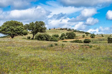 Mertola, Portekiz, Alentejo yakınlarındaki doğal do Vale do Guadiana 'da yabani çayırları, nehirleri ve şelaleleri olan güzel bir manzara.