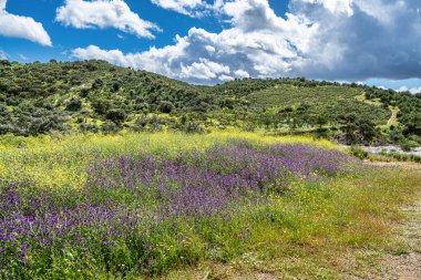 Portekiz, Avrupa 'daki Algarve bölgesinde bulunan Gioes yakınlarındaki Vascao nehri boyunca yürüyüş yapmak.