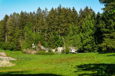 Dünya Ormanı 'nda yürüyüş yapan Weltwald, Bavyera, Almanya' da Münih yakınlarında Freising 'de. Kranzberger Ormanı 'nda dünyanın dört bir yanından ağaçlar toplanıyor.