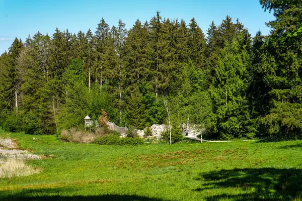 Dünya Ormanı 'nda yürüyüş yapan Weltwald, Bavyera, Almanya' da Münih yakınlarında Freising 'de. Kranzberger Ormanı 'nda dünyanın dört bir yanından ağaçlar toplanıyor.