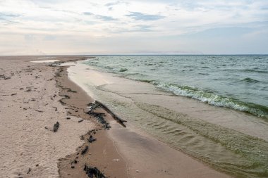 Ponta do Cururu plajı, Tapajos nehrinin kıyısında, Alter do Chao, Kuzey Brezilya 'da Para eyaleti.