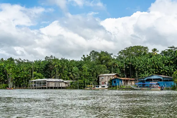 Brezilya 'nın kuzeyinde yer alan Belem do Para' daki Guama Nehri 'nde tekne turu. Amazon ormanlarının oradaki doğal yeşil alan..