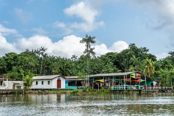 Brezilya 'nın kuzeyinde yer alan Belem do Para' daki Guama Nehri 'nde tekne turu. Amazon ormanlarının oradaki doğal yeşil alan..