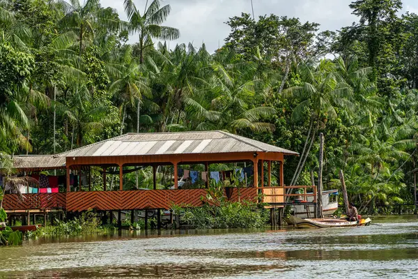 Brezilya 'nın kuzeyinde yer alan Belem do Para' daki Guama Nehri 'nde tekne turu. Amazon ormanlarının oradaki doğal yeşil alan..