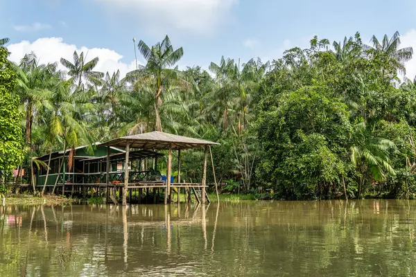 Brezilya 'nın kuzeyinde yer alan Belem do Para' daki Guama Nehri 'nde tekne turu. Amazon ormanlarının oradaki doğal yeşil alan..