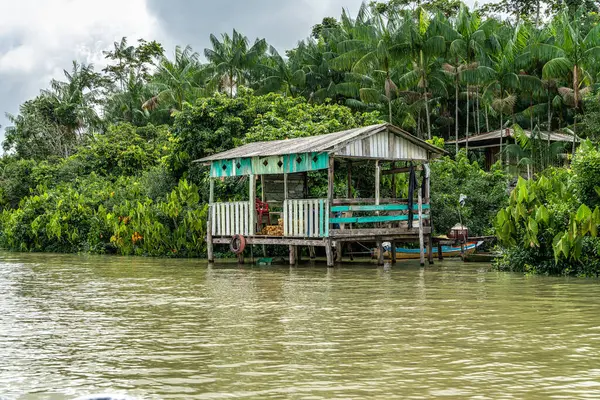 Brezilya 'nın kuzeyinde yer alan Belem do Para' daki Guama Nehri 'nde tekne turu. Amazon ormanlarının oradaki doğal yeşil alan..