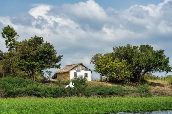 Alter do Chao, Santarem Bölgesi, Para State, Brezilya 'daki Jari Kanalı' na bir gezi. Amazon ve Tapajos Nehri 'ndeki Jari Kanalı' nın sel basmış bölgelerinin doğal manzarası.