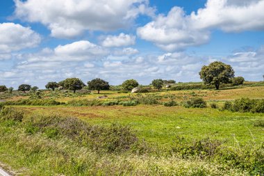 Arabayla Portekiz 'in Alentejo bölgesinden geçeceğiz. Nisa ve Castelo de Vide çevresi