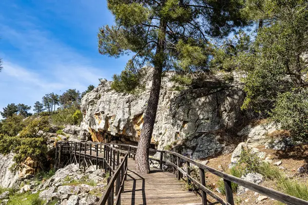 Junco Vadisi 'ndeki kaya resimleri, Arronches, Portekiz' deki Alentejo.