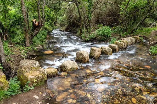 Portekiz 'in Portalegre Bölgesi' ndeki Percurso Pedestre de Galegos 'ta bir derenin üzerinden taşlardan bir köprüde yürüyorum.