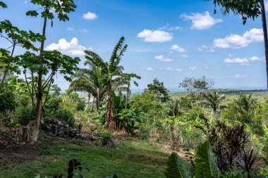 Belterra 'da Vila Americana, Brezilya' da Para. Henry Fords 'un otomobil endüstrisi tarafından bölgede kauçuk keşifleri sırasında kurulan Amerikan köyü.