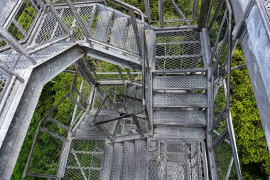 Musa Botanik Bahçesi. Manaus, Brezilya. Doğal güzellik, Floresta Amazonica, kesinlikle korunması gerekiyor..