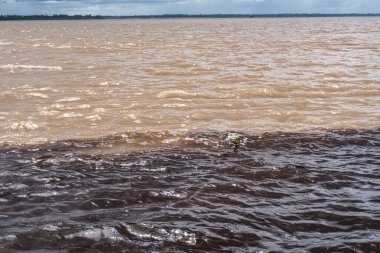 Brezilya 'nın Manaus şehrinde bulunan Suların Buluşması, Rio Negro ile neredeyse siyah renkli bir nehir ve kumlu Amazon Nehri veya Rio Solimoes arasındaki birleşmedir..