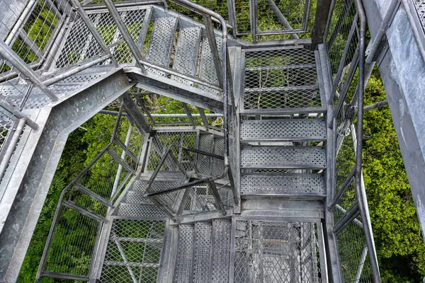 Musa Botanik Bahçesi. Manaus, Brezilya. Doğal güzellik, Floresta Amazonica, kesinlikle korunması gerekiyor..