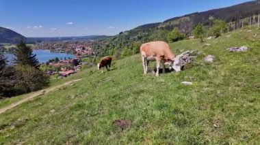 Schliersee Gölü çevresindeki Schliersee 'deki Bavyera Alpleri, Yukarı Bavyera, Avrupa' daki Almanya