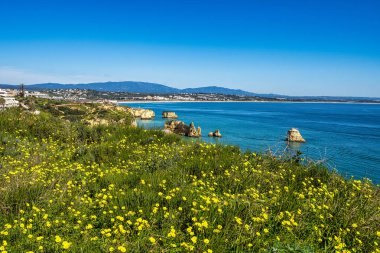 Ponta da Piedade, Portekiz 'in Algrave şehrinde bulunan ünlü mağaraları olan eşsiz bir kaya oluşumudur. Portekiz 'in bir numaralı cazibesi