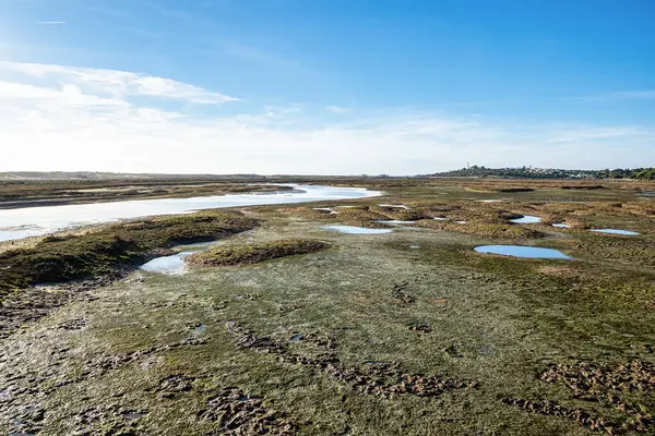 Portekiz 'de Faro yakınlarındaki Parque Natural da Ria Formosa' nın manzara görüntüsü