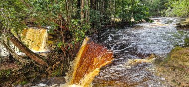 Brezilya 'nın Amazon bölgesindeki Manaus yakınlarındaki Başkan Figueiredo' da Macaws şelalesi. Şelalede bol ve güzel bir güç var.