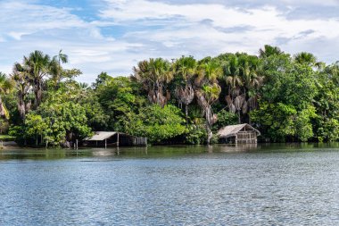 Barreirinhas yakınlarındaki Preguica Nehri 'nde tekne gezisi, Lencois Maranhenses, Maranhao, Brezilya. Preguicas Nehri, Maranhao eyaletinin Lencois Maranhenses bölgesinde yer alan bir su yolu..