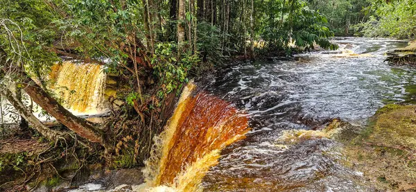 Brezilya 'nın Amazon bölgesindeki Manaus yakınlarındaki Başkan Figueiredo' da Macaws şelalesi. Şelalede bol ve güzel bir güç var.