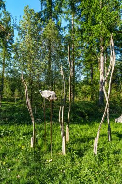 Dünya Ormanı 'nda Asya bahçesi, Almanya' da Bavyera 'da Münih yakınlarında Weltwald. Kranzberger Ormanı 'nda dünyanın dört bir yanından ağaçlar toplanıyor.