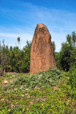 Portekiz, Algarve 'deki Vale Fuzeiros yakınlarındaki kuru tepelerde M.Ö. 6000-4500 yıllarından kalma Sandstone Menir. Circuito Arqueologico da Vilarinha