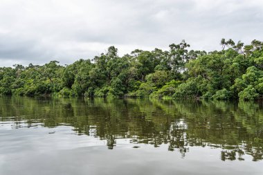 Barreirinhas, Lencois Maranhenses 'ten Brezilya' daki Preguica Nehri 'ne tekne gezisi. Preguicas Nehri, Maranhao eyaletinin Lencois Maranhenses bölgesinde yer alan bir su yolu..