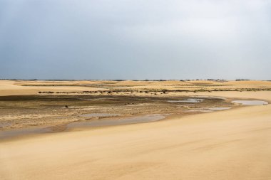 Atins 'in kum tepeleri ve gölleri, Lencois Maranhenses, Brezilya' nın Barreirinhas 'ı. Taze ve şeffaf su havuzları olan beyaz kum tepeleri.