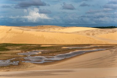 Ilha do Caju 'da Dunas do Mouro, Ilha das Canarias, Brezilya. Delta do Parnaiba ve Delta das Americas. Yeşillik doğa ve kum tepeleri.