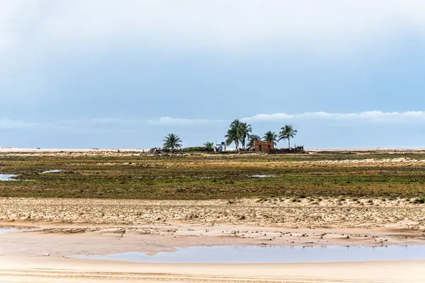 Atins 'in kum tepeleri ve gölleri, Lencois Maranhenses, Brezilya' nın Barreirinhas 'ı. Taze ve şeffaf su havuzları olan beyaz kum tepeleri.