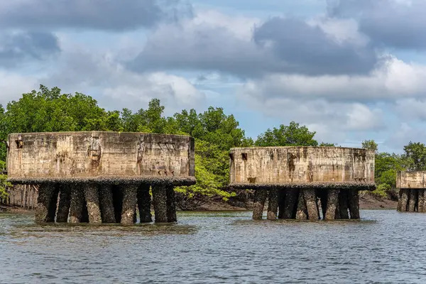 Tutoia, Delta das Canarias, Brezilya 'dan Preguica Nehri' ne tekne gezisi. Amazon yağmur ormanları. Güney Amerika