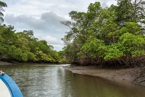 Tutoia, Delta das Canarias, Brezilya 'dan Preguica Nehri' ne tekne gezisi. Amazon yağmur ormanları. Güney Amerika