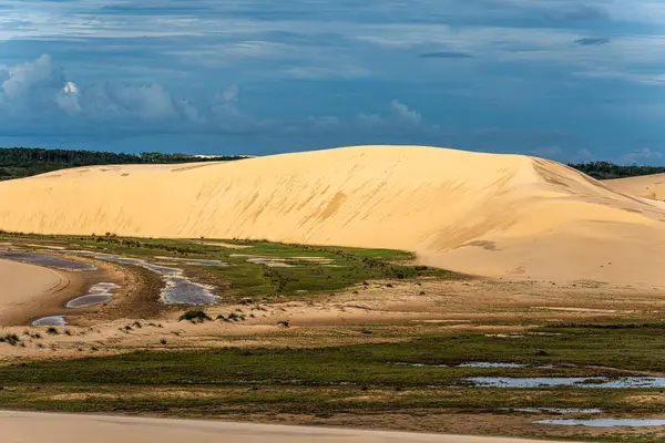 Ilha do Caju 'da Dunas do Mouro, Ilha das Canarias, Brezilya. Delta do Parnaiba ve Delta das Americas. Yeşillik doğa ve kum tepeleri.