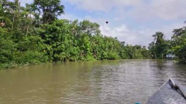 Brezilya 'nın kuzeyinde yer alan Belem do Para' daki Guama Nehri 'nde tekne turu. Amazon ormanlarının oradaki doğal yeşil alan..