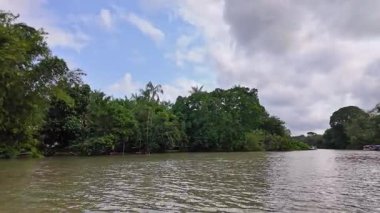 Brezilya 'nın kuzeyinde yer alan Belem do Para' daki Guama Nehri 'nde tekne turu. Amazon ormanlarının oradaki doğal yeşil alan..