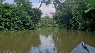 Brezilya 'nın kuzeyinde yer alan Belem do Para' daki Guama Nehri 'nde tekne turu. Amazon ormanlarının oradaki doğal yeşil alan..