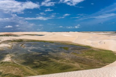 Camocim, Jericoacoara, Brezilya 'da Ceara' daki Funil Dune, Tatajuba Sahili 'nde fayton turu.