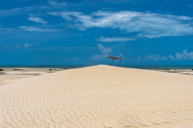Camocim, Jericoacoara, Brezilya 'da Ceara' daki Funil Dune, Tatajuba Sahili 'nde fayton turu.